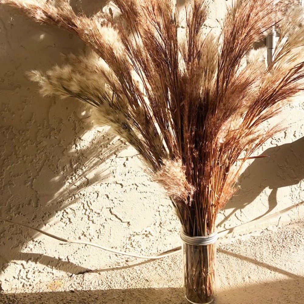 Dried Southwest Florida Native Grass